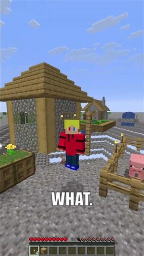 Minecraft, but the WHOLE world is Gravel! #minecraft