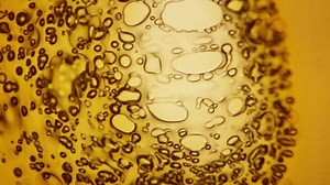 科学 细胞 微生物学 - Free video on Pixabay