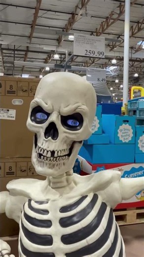 Halloween decor at Costco in June #costco #costcofinds #halloween