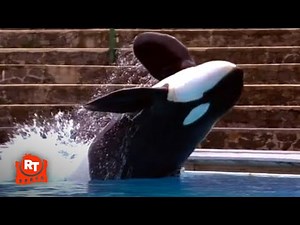 Free Willy - Willy Puts on a Show!