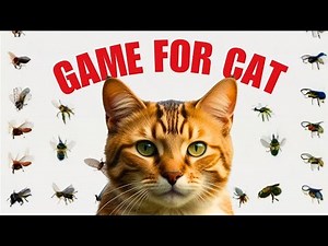 GAME FOR CATS - 3 Hours Of Cat Games On Screen - Cat Game Kingdom