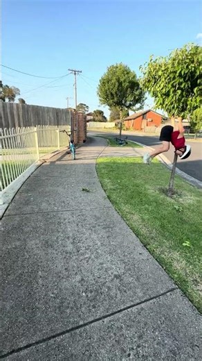 Today I did a backflip off a tree