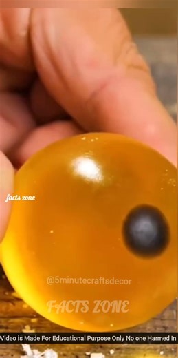 Manager gives Eagle challenge from axe 🪓 😱⁉️ #factsulagam #shorts