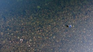 Roll cast - Spey casting made easy