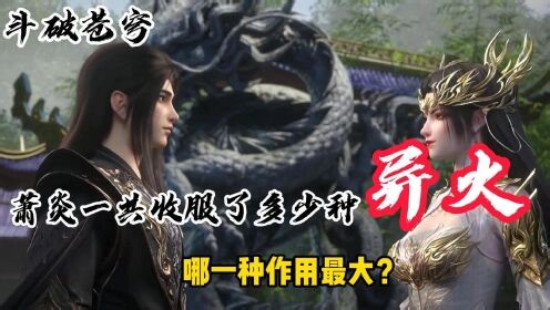 国漫精彩人物解析_斗破苍穹：萧炎一共收服了多少种异火，哪一种作用最大？