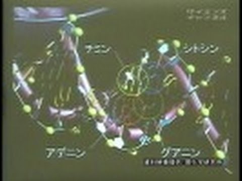 遺伝子・ＤＮＡ・ゲノムー５０年でわかったこと　ヒトゲノム解読完了・ＤＮＡらせん発見５０周年記念講演会