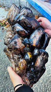 68K views · 3.9K reactions | Gorgeous Skeleton | Appreciation of Rough Crystal | Facebook