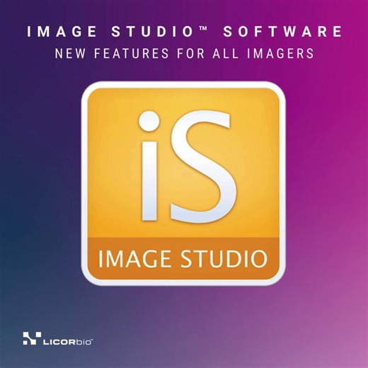 Image Studio™ Software 6.1 is now free to download! This version adds powerful new features for Atlas™ Imagers, Odyssey® Imagers, C-DiGit® Blot Scanners, and the Pearl® Trilogy Imagers. ✅ Dual-use measurement tool (ruler scale bar) ✅ Custom Color picker with over 16 MILLION color choices ✅ Improved functionality of channel display buttons ✅ Morphology Analysis for thresholding, masking, and automatically identifying and measuring objects in an image (Area, Perimeter, Equivalent Diameter, Major A