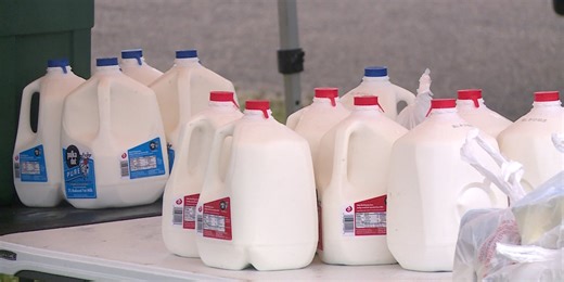 Wisconsin to Begin Monthly Milk Sampling as Part of the National Milk Testing Strategy
