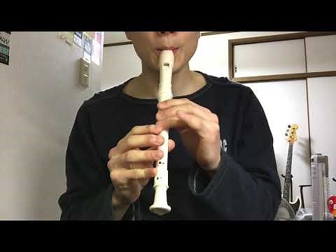 【ネタ】ダイソーのリコーダーでTruthを吹いてみた #stayhome