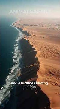 🌍 The Namib Desert Elephant Safari — Namibia 🐘 | A Rare African Wildlife Adventure!