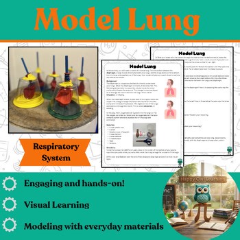Model Lung: Respiratory System Hands-on Project Science Anatomy Middle School