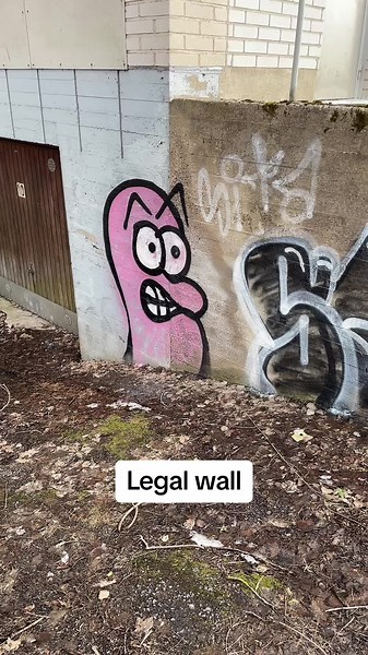 Exploring Legal Wall Graffiti: Art and Expression