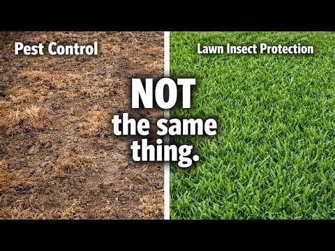 Is Lawn Insect Protection the Same as Pest Control? (Not Even Close)