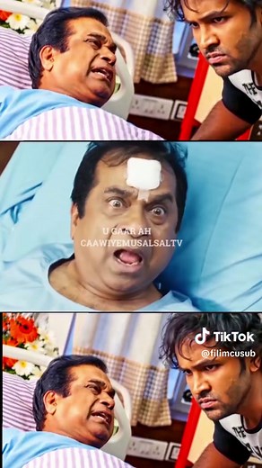 Funny Fan Project Comedy Clips