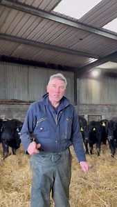 Have you ever wondered why cows have ear tags? Farmer Mac explains how ear tags help farmers track where their cows were born, where their cows may have moved and their medical history. This traceability and provenance gives you the confidence that British beef is produced to some of the highest standards in the world, and is yet another reason to eat it🌍🥩 #BackBritishFarming | Back British Farming NFU