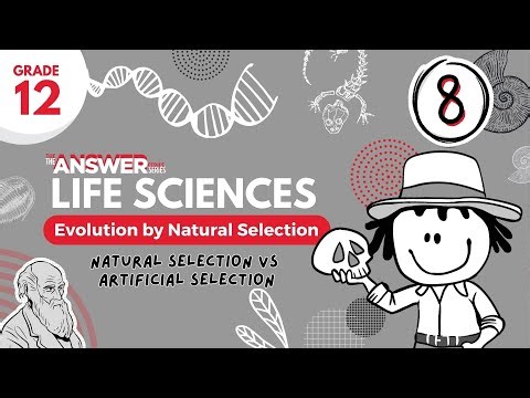 GR 12 EVOLUTION BY NATURAL SELECTION – Natural vs Artificial Selection #8