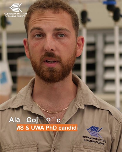 3.8K views · 53 reactions |  The best recipe to give young fish a...