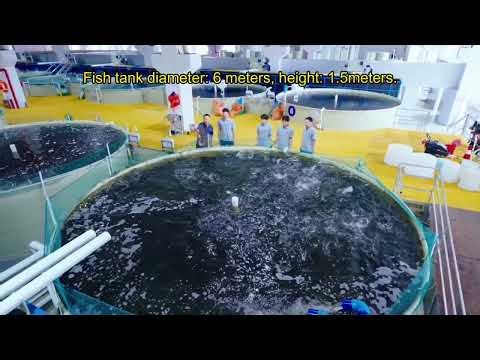 Recirculating aquaculture fish farming system new design