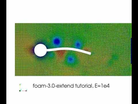 fsi animation1