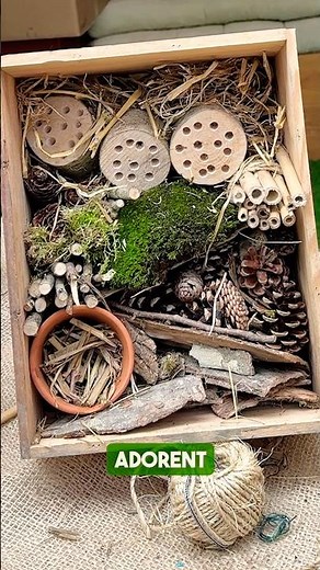 How to make your own insect hotel 🐛🐝 🐞 #diy #insecthotel