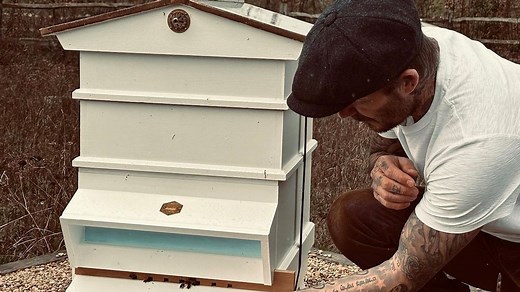 David Beckham shows off incredible beehive at £12 million Cotswolds home