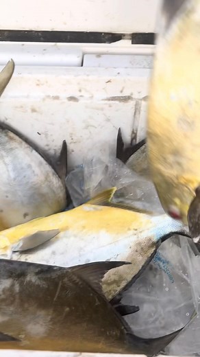 11K views · 90 reactions | Our Inshore Slayers chef reached out to me...