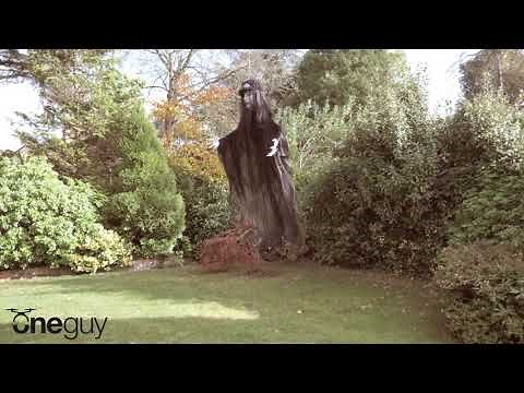 Halloween Flying Witch