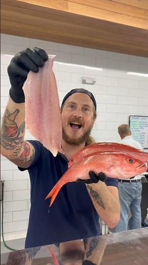 Vermilion Snapper Swimming in at Captain Clay & Sons Seafood Market in Delray Beach, Florida 🤙