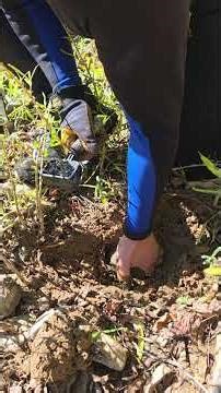 Matt got a nice one! #garrett #metaldetecting