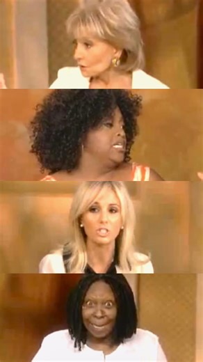 ABC’s 𝘛𝘩𝘦 𝘝𝘪𝘦𝘸 FAN Page on Instagram: "In 2008, 𝘛𝘩𝘦 𝘝𝘪𝘦𝘸 tackled one of its most intense and widely discussed conversations during a Hot Topics segment about the use of the N-word. • The debate was sparked after Rev. Jesse Jackson was caught using the word off-air, prompting a broader discussion about language, context, and who—if anyone—can reclaim it. • When Elisabeth Hasselbeck stated that the word was unacceptable for anyone to use, regardless of race, Sherri Shepherd and Whoop