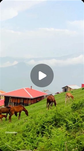 ‎Iran shomal شمال بهشت ایران‎ on Instagram‎: "به این ویو وصدای طبیعت نمره ی چند میدید😍سوئه چاله زیبا @iran_shomal_pic باماباشیدبامعرفی زیباترین لوکیشنها @iran_shomal_pic لوکیشن؛گیلان ،ماسال،سوئه چاله زیبا 🎥؛ @shomalloc @iran_shomal_pic @iran_shomal_pic . . . ✅ اگه از اکسپلور اومدی حتماً پیج رو فا-لو و اگر از این پست خوشت اومد، برای دوستانت ارسال کن... 🙏 . لا-یک شما باعث بهتر دیده شدن پست‌ها و نمایش بیشتر می‌شود، لطفاً حما-یت کنید. برای تب_لیغات به دایر_کت پیام بدید✋ ————————————————— استوریها