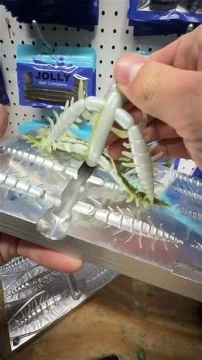 Smallmouth color match going to be so good this summer…