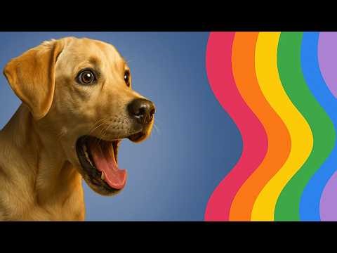 What Your Dog REALLY Sees: The Hidden World Through Canine Eyes!