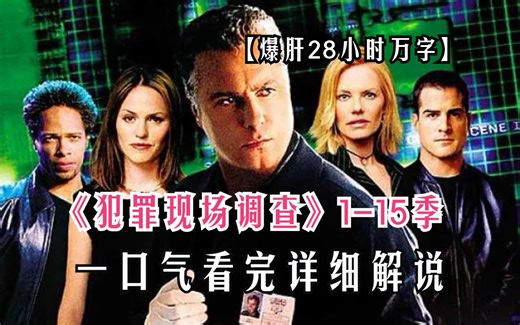 一口气看完高分悬疑美剧《犯罪现场调查》1-15季！爆肝28小时！万字上百个独立案件，值得你下饭观看！