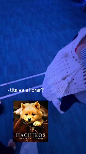 Exploring Hachiko 2: Emotional Dog Movie Moments