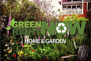 Coming clean: Here are the top energy-efficient washing machines