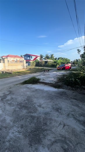 Glamorous Guyanese Wedding with Big Grills and Luxury Moments