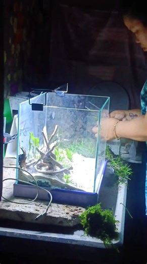 40cm setup on the spot customer request 🥹 5hr preparetion 🙈 | AquaNiks