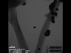 Melting of gold nanoparticles on carbon nanotube