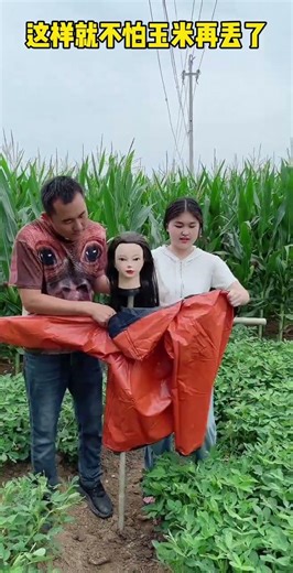 Lost 88 Corns in One Day? Don't Worry! Brother Fang's Life Lessons