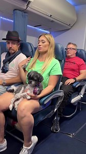 rude passenger #reel #fyp | The Kasey Show