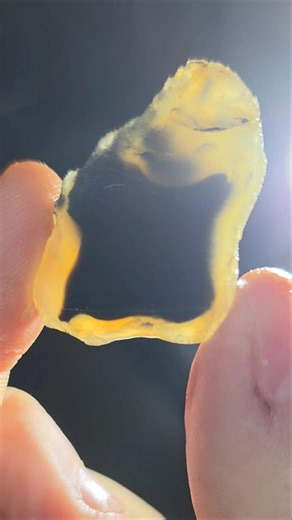 Super Rare Agate From Nova Scotia Cut Open | Ink Spot Agate #agate #inkspotagate #gemstone
