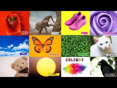 We Love All the Colors | Fun Color Song for Toddlers|Nursery Rhymes & Kids Song | This is Red, Song