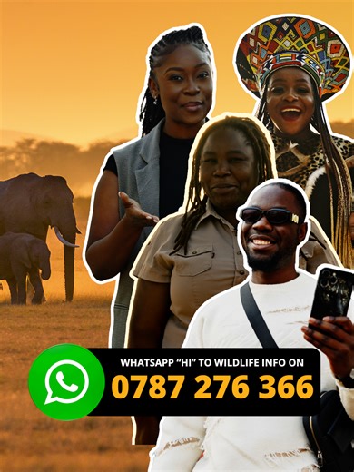 🐘🇿🇼 Zimbabwe’s wildlife is a national treasure, but living near wild animals can be challenging. Luckily, help is just a message away. Wildlife Info is a free, easy-to-use WhatsApp tool that provides instant, practical advice on how to live safely alongside elephants, lions, crocodiles, baboons, hippos and more. 📲 Simply text “Hi” to 263 78 727 6366 or click the link in our bio. Then select English or Ndebele and follow the prompts for information on: 🌽 Protecting your family, property and 