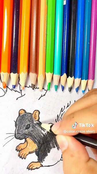 Rat Coloring with Pencil Colors: Fun Art for Kids