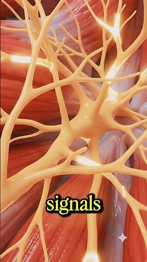 Stop Ignoring Your Eye Twitches 🧠 #HealthTips #HumanBody