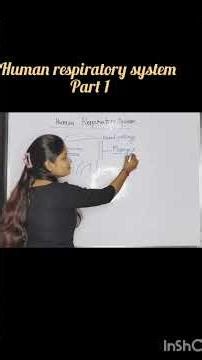 human respiratory system!!!! part 1 🔥🔥 class 10th