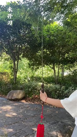 #handmade #chinasword #sword #swords