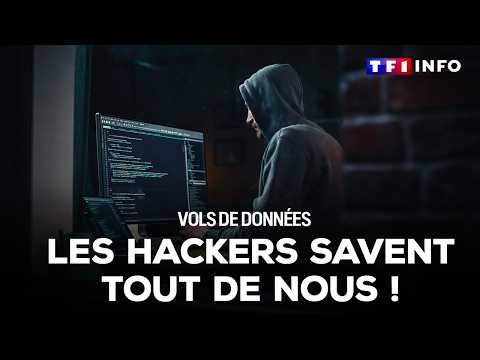 Occasion : attention aux voitures maquillées｜TF1 INFO